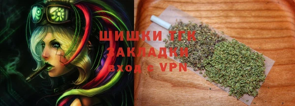 индика Мегион