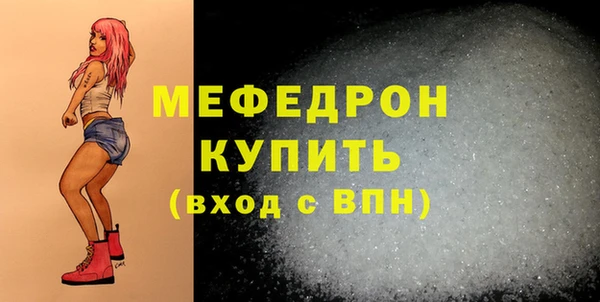 индика Мегион
